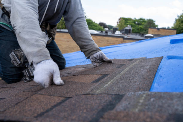 Best Solar Panel Roofing Installation  in West Point, VA