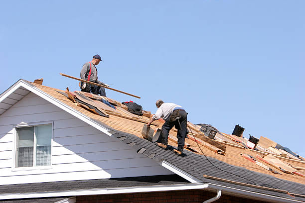 Best Roof Moss and Algae Removal  in West Point, VA